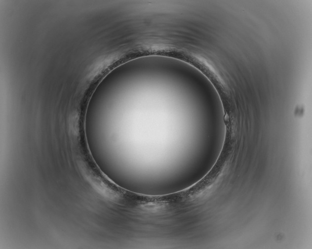 X0000094970447200711291507