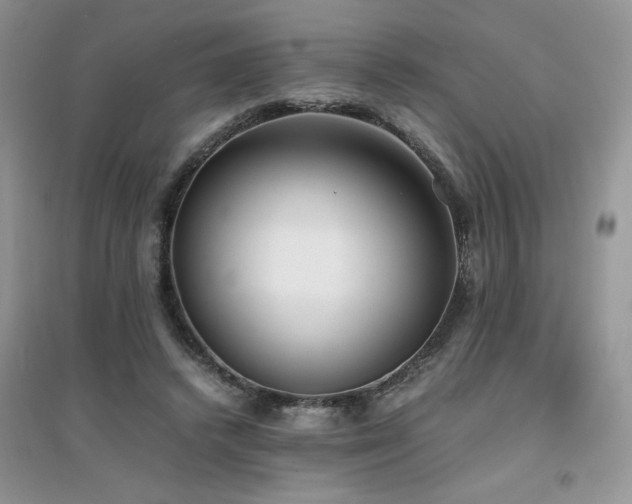 X0000094970448200711291507