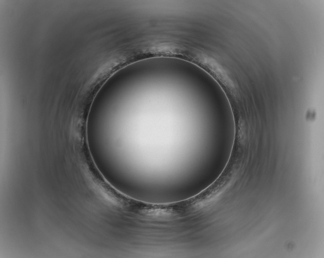 X0000094970449200711291507
