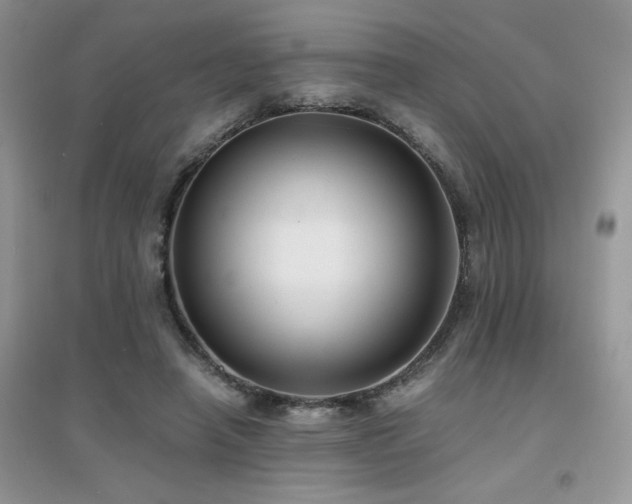 X0000094970450200711291507