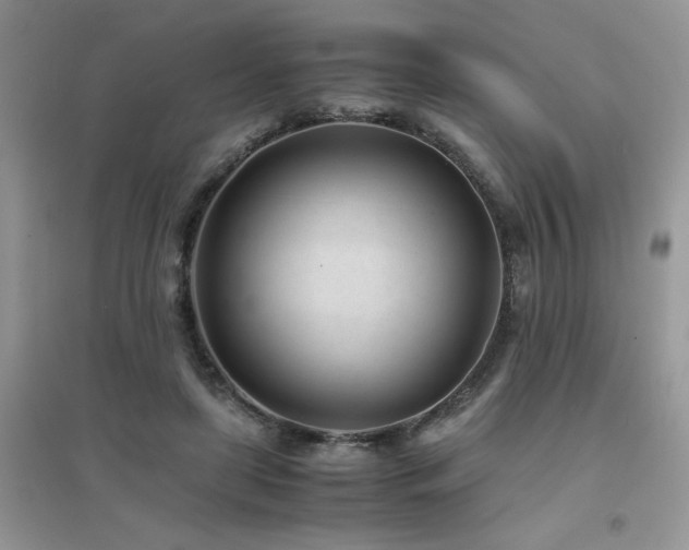 X0000094970451200711291507