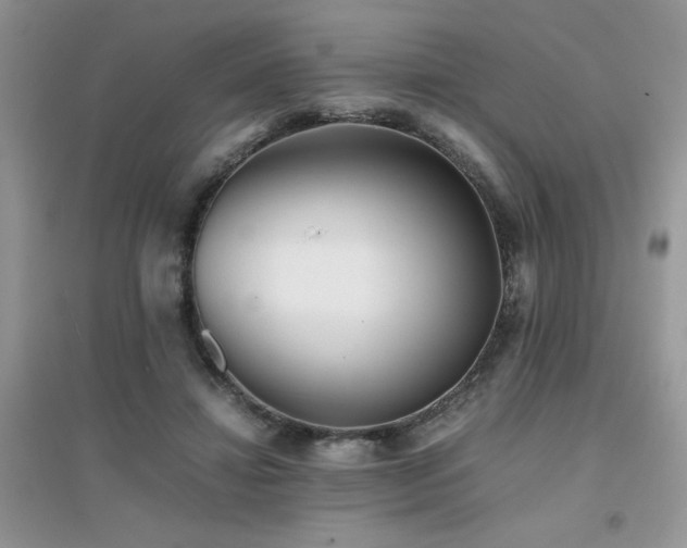 X0000094970452200711291507