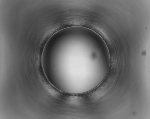X0000094970453200711291507
