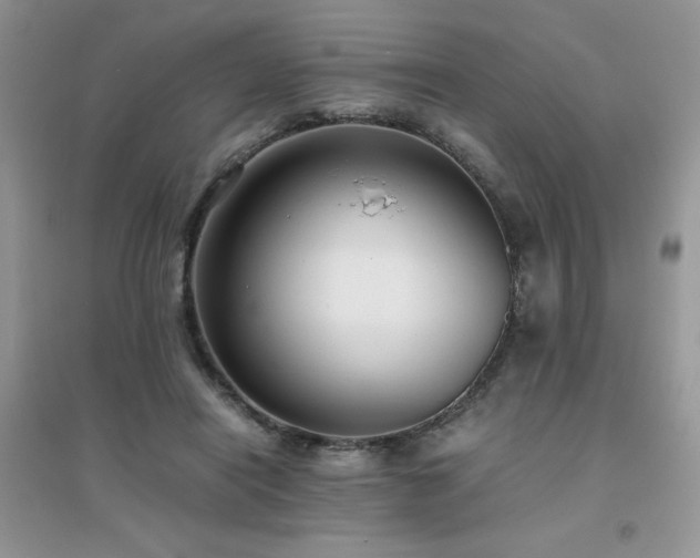 X0000094970454200711291507