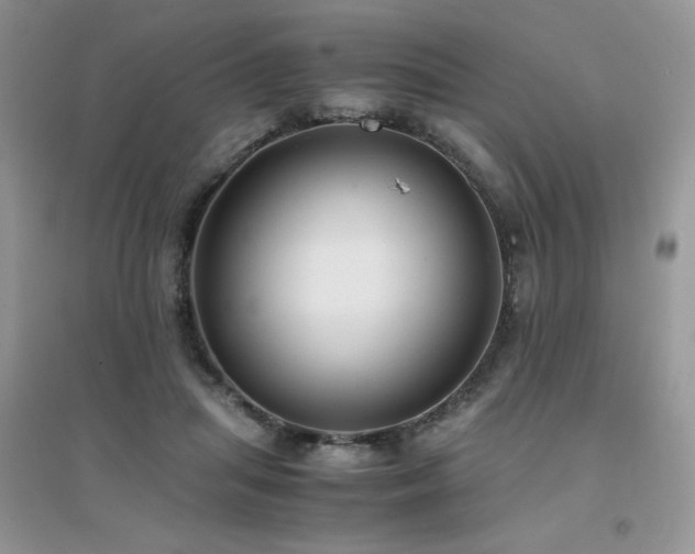 X0000094970455200711291507