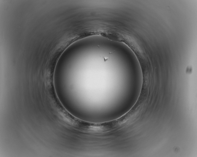 X0000094970457200711291507
