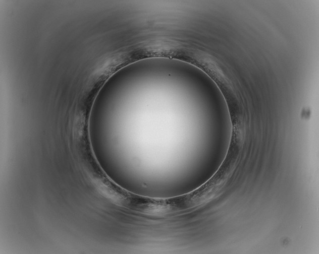 X0000094970458200711291507