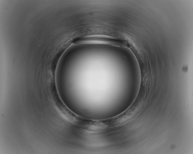 X0000094970459200711291508