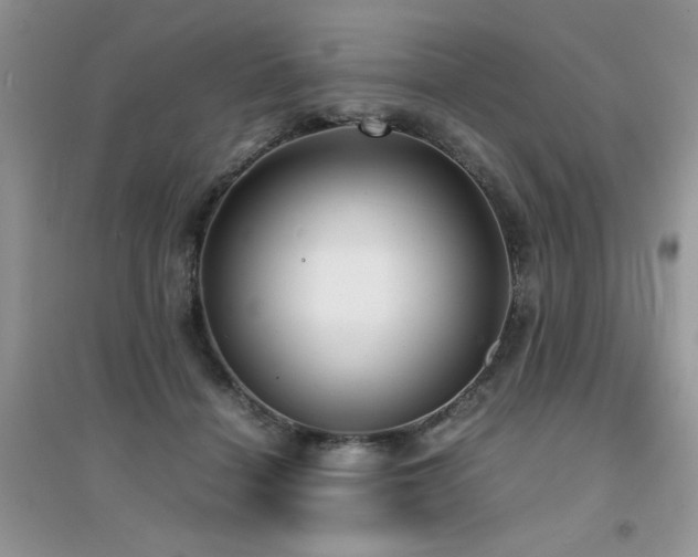 X0000094970460200711291508