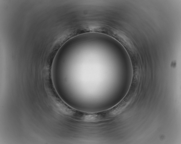 X0000094970461200711291508