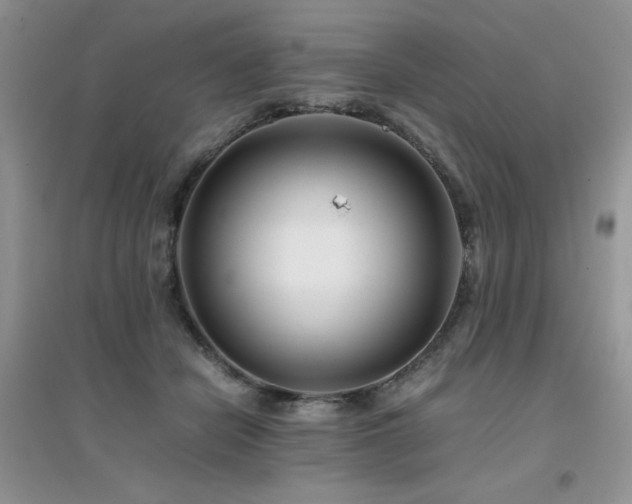 X0000094970462200711291508