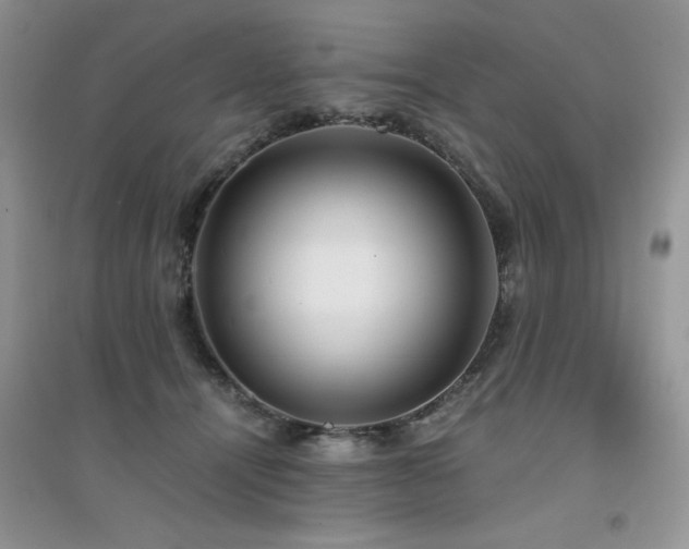 X0000094970464200711291508
