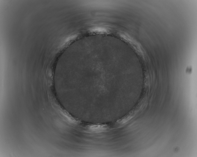 X0000094970465200711291508