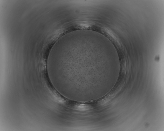 X0000094970467200711291508