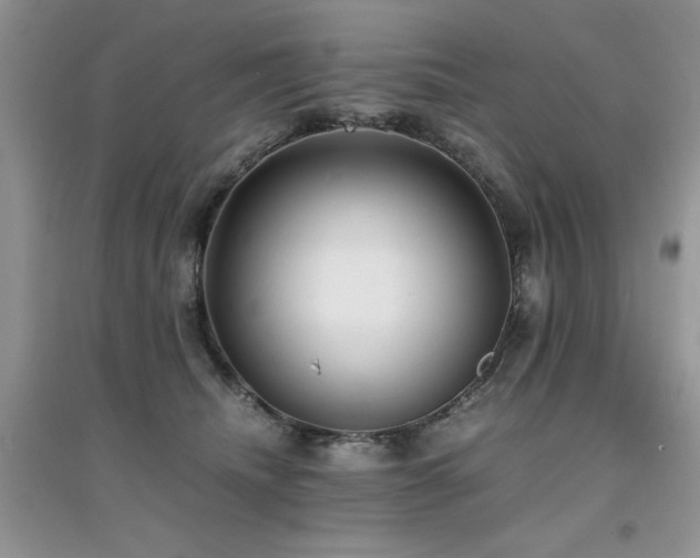 X0000094970468200711291508