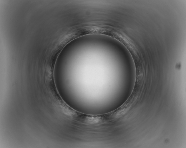 X0000094970469200711291508