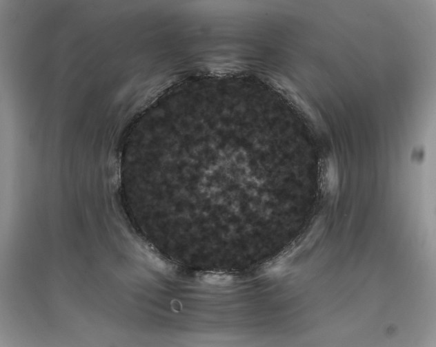 X0000094970471200711291508
