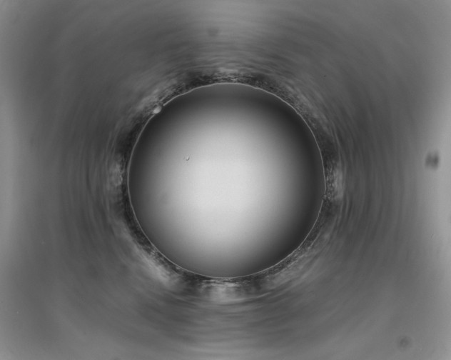 X0000094970472200711291508