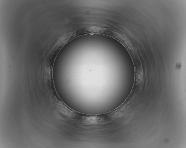 X0000094970473200711291508