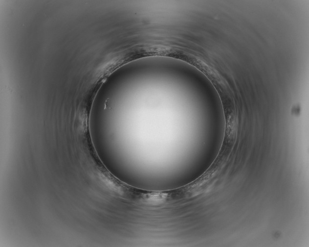 X0000094970474200711291508