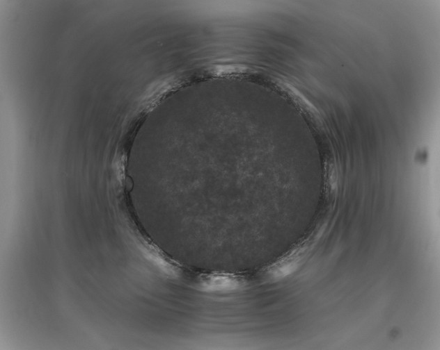 X0000094970475200711291508