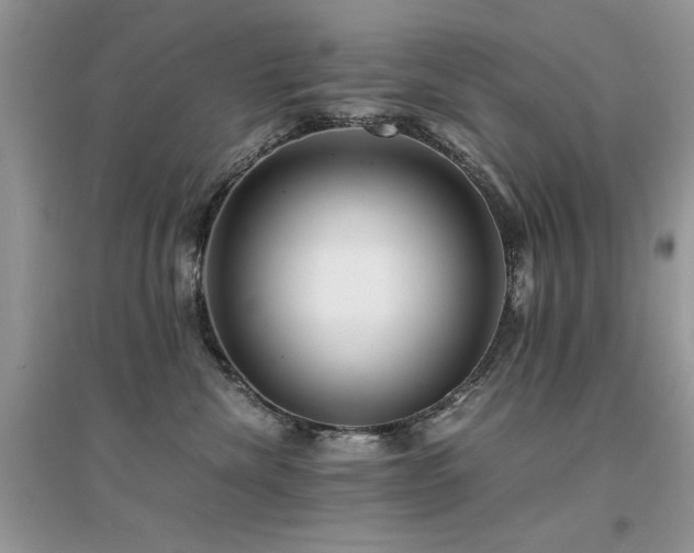 X0000094970476200711291508