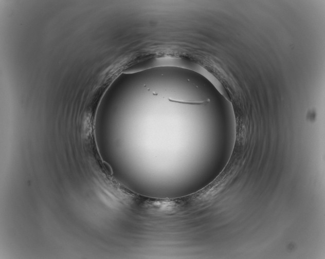 X0000094970478200711291508
