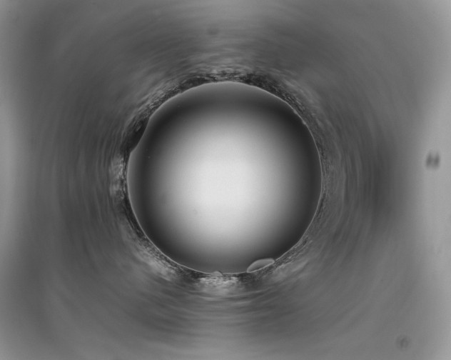 X0000094970480200711291508