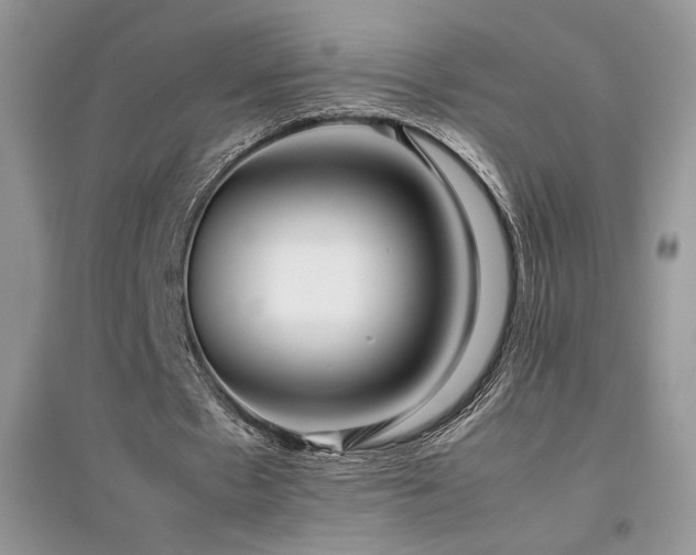 X0000094970481200711291507