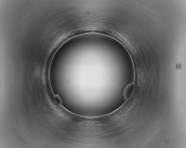 X0000094970482200711291507