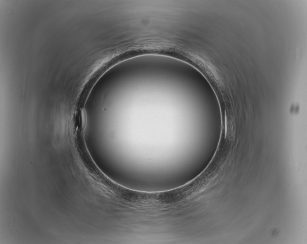 X0000094970483200711291507