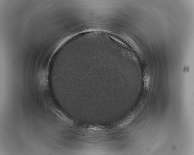 X0000094970484200711291507
