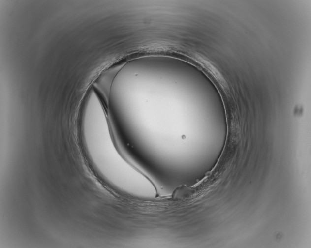 X0000094970485200711291507