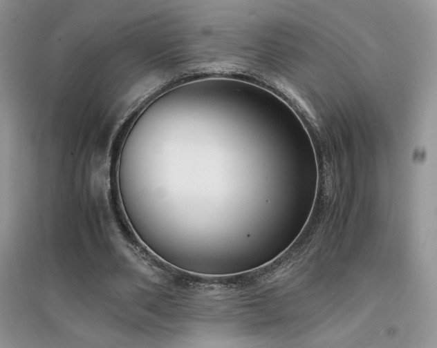 X0000094970486200711291507