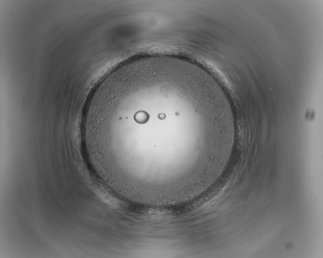 X0000094970487200711291507