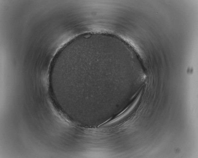 X0000094970488200711291507