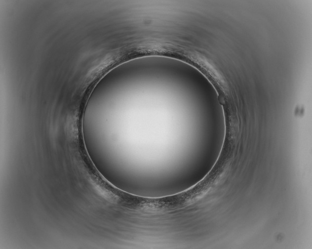 X0000094970489200711291507
