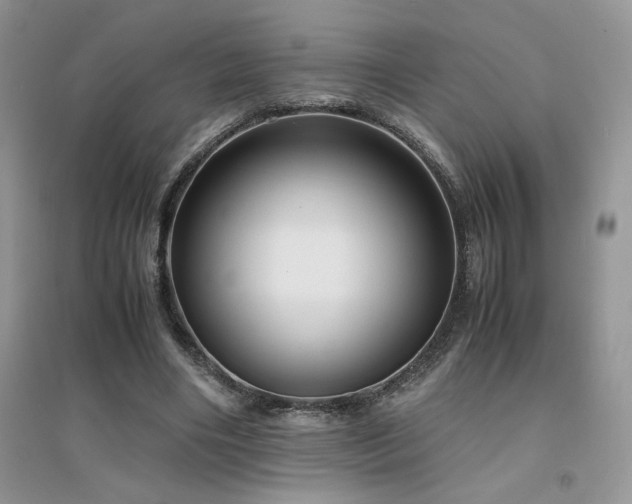 X0000094970490200711291507