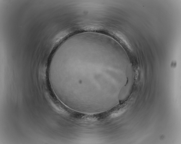X0000094970491200711291507