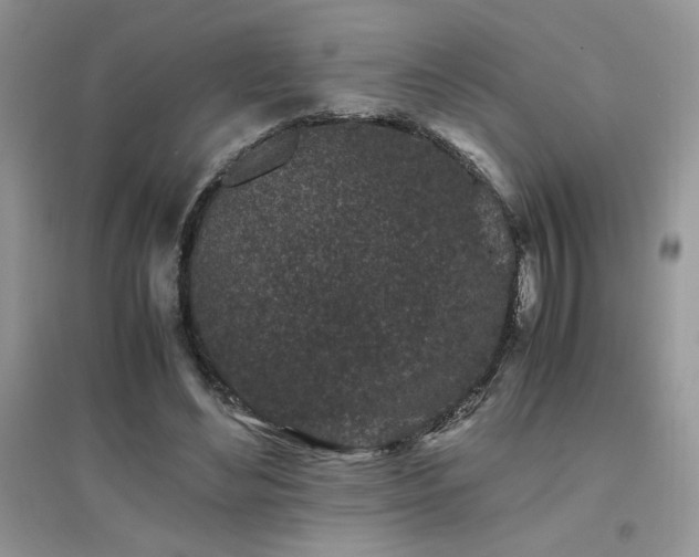 X0000094970492200711291507