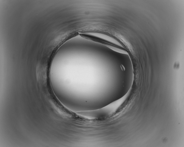 X0000094970493200711291507