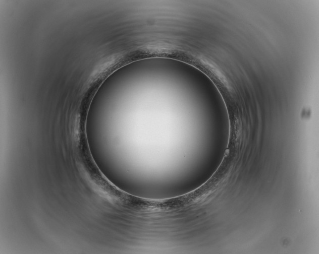 X0000094970494200711291507