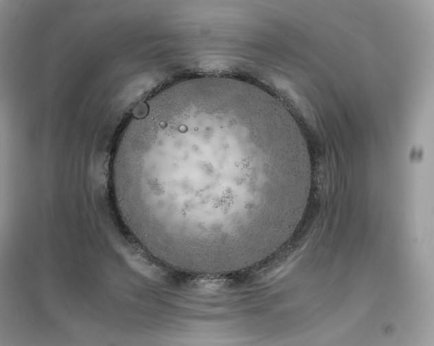 X0000094970495200711291507