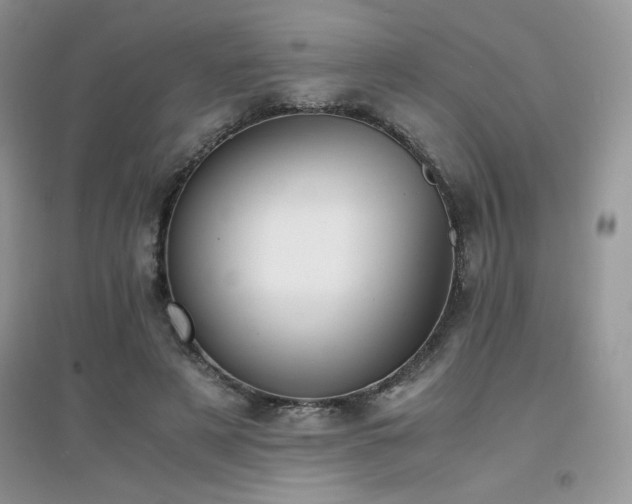 X0000094970497200711291507