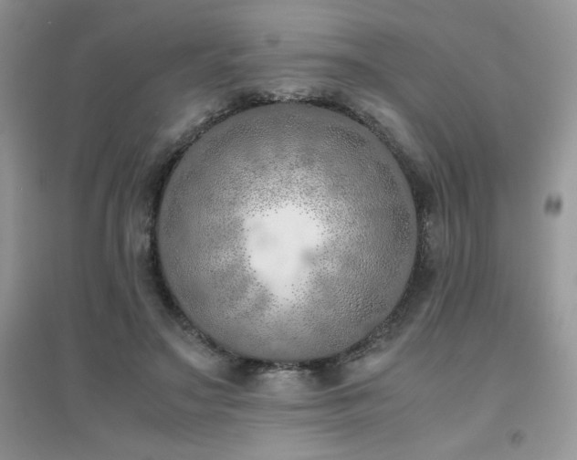 X0000094970499200711291507