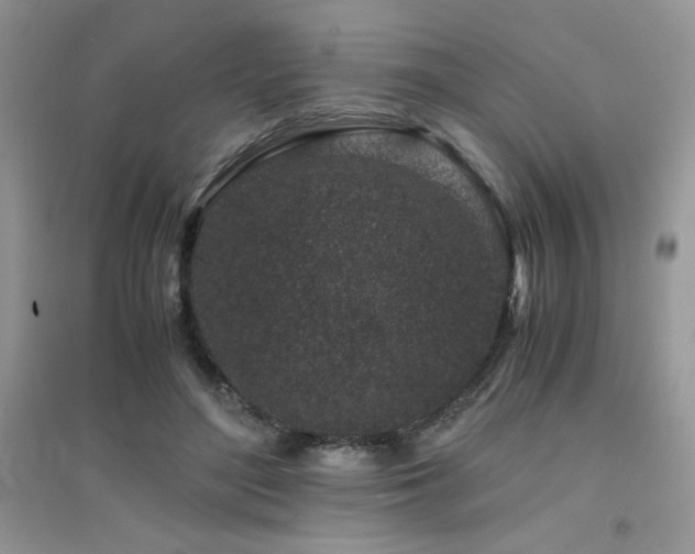 X0000094970500200711291507