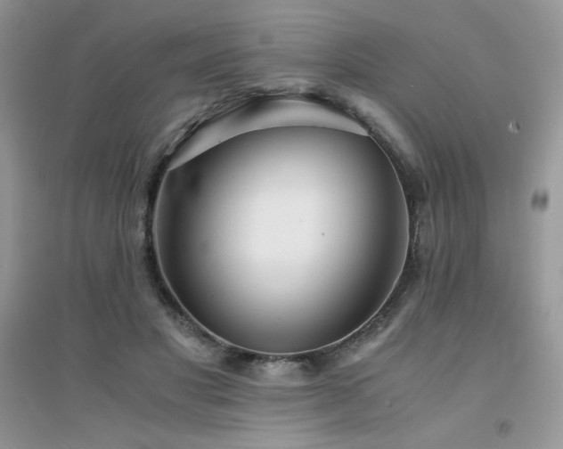 X0000094970501200711291507