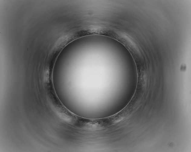 X0000094970502200711291507