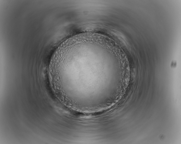 X0000094970503200711291507