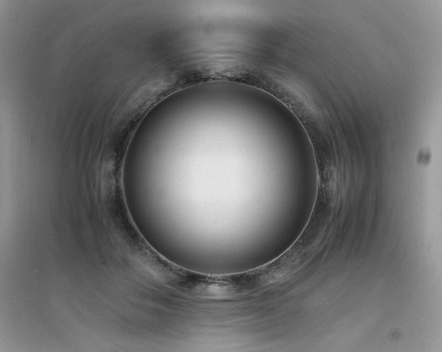 X0000094970506200711291507